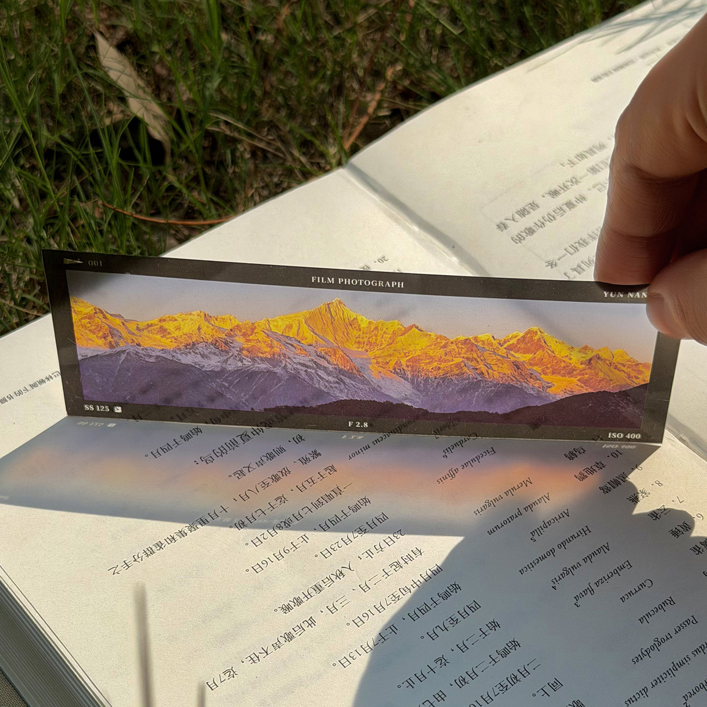 日照金山复古电影感PVC胶片透光书签夏日浪漫文艺青年小清新ins风半透明摄影雪山氛围感高颜值女生阅读书页夹