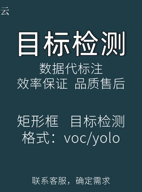 目标检测 分割项目 labelimg 拉框 车辆 人体 障碍物 目标追踪