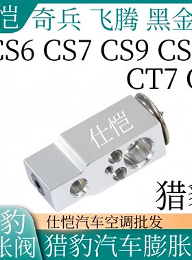 CS10 CS6 CS7 CS9 CT7 Q6 奇兵 飞腾 黑金刚 空调膨胀阀