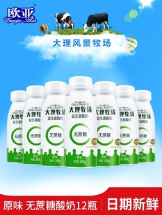 12瓶乳制 云南大理 欧亚大理牧场低温益生菌无蔗糖木糖醇酸奶243g