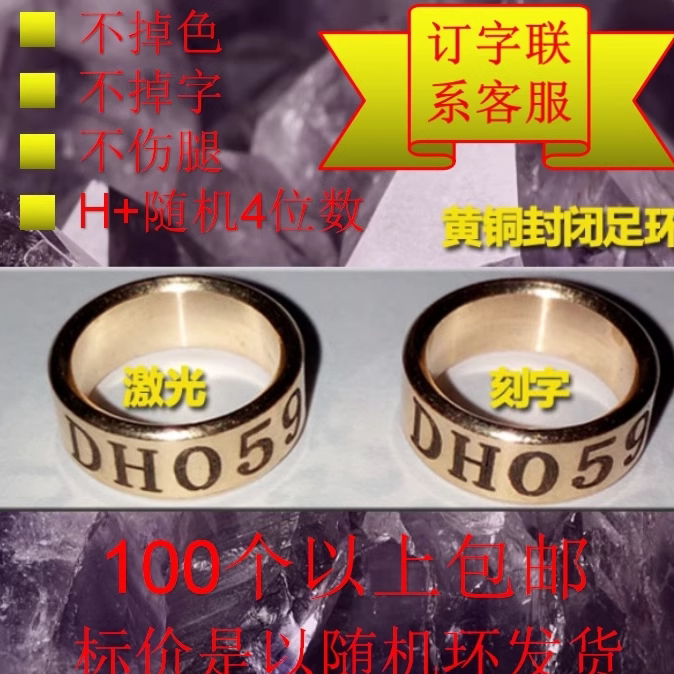 黄铜封闭脚环鹦鹉鸽子鸟类