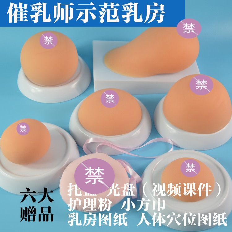 催乳师手法练习硅胶乳房模型 母乳喂养指导孕妇哺乳指导假乳房
