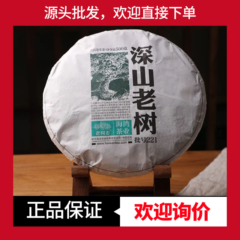 老同志深山老树生茶勐海茶