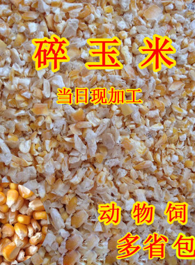 2025年碎玉米渣50斤装碎玉米粒鸡鸭饲料钓鱼打窝鸽子饲料包邮