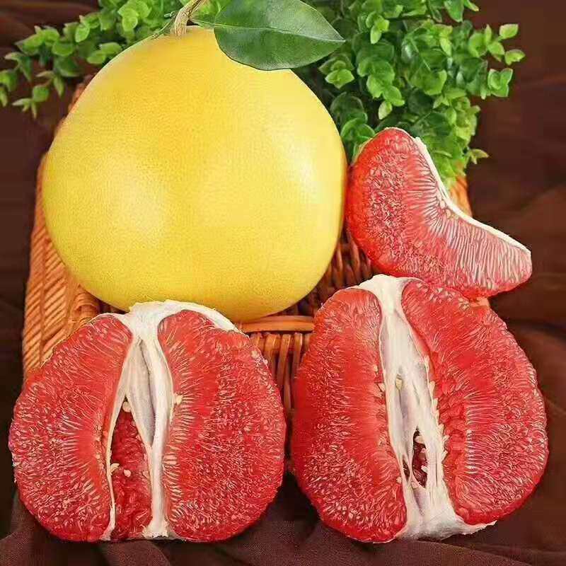 福建产地红心蜜柚10斤大果红肉蜜柚子儿童孕妇新鲜水果红柚子现摘_虎窝淘
