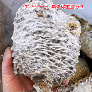 海南特产大号刺龟皮十成干深海刺龟鱼皮新鲜淡晒煲汤养胃养颜礼品