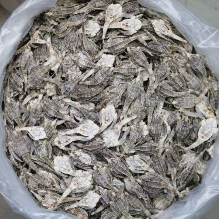 野生海麻雀干货 无硫淡晒足干尖海燕子 煲汤泡酒料海产干货中药材