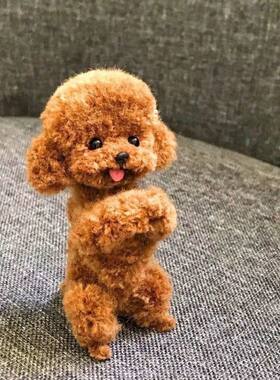 泰迪长不大红棕色可爱贵宾犬活物宠物活的灰泰迪幼犬棕色飞耳泰迪