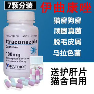 伊曲康唑胶囊猫藓宠物马拉色菌狗癣皮肤病脱毛猫咪真菌口服药猫癣