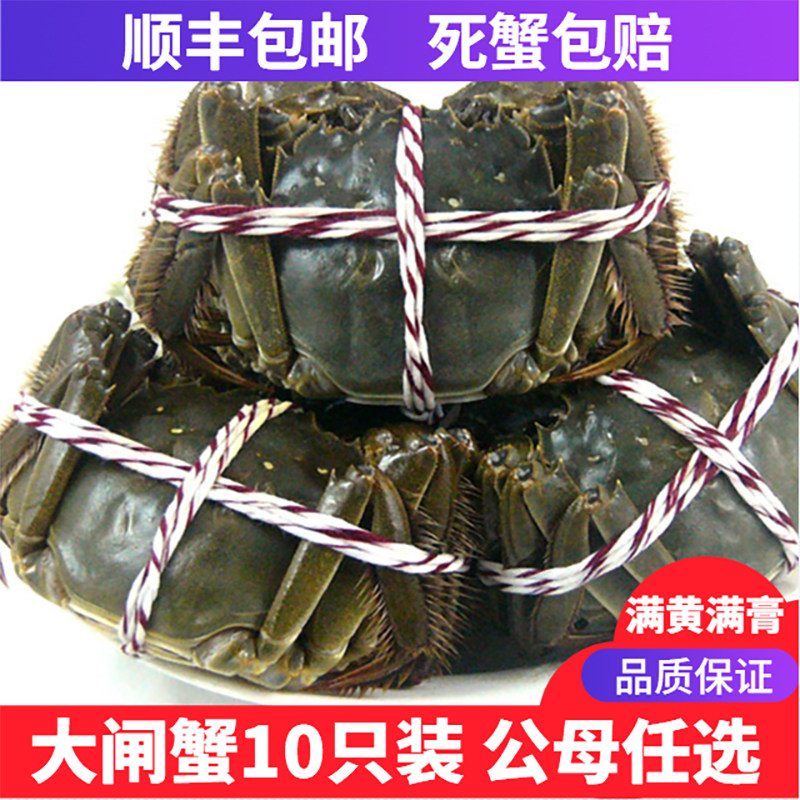 北京闪送大闸蟹螃蟹鲜活