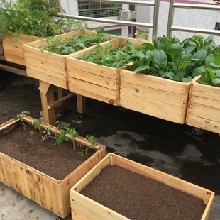 原木种菜盆实木花盆楼顶露天阳台种植花箱户外定制果树盆种菜神器