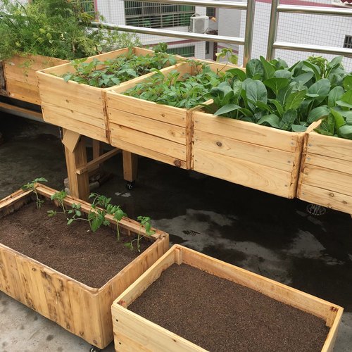 原木种菜盆楼顶露天种植箱实木