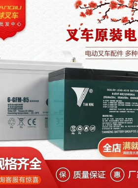 中力合力杭州电动叉车电瓶地牛搬运车蓄电池12V30A65A85A锂电池