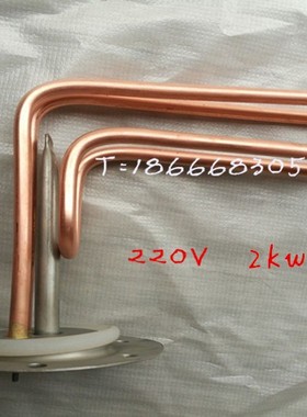 真富牌发热管储水式电热水器电热管配件JM-502011加热管 220V 2KW