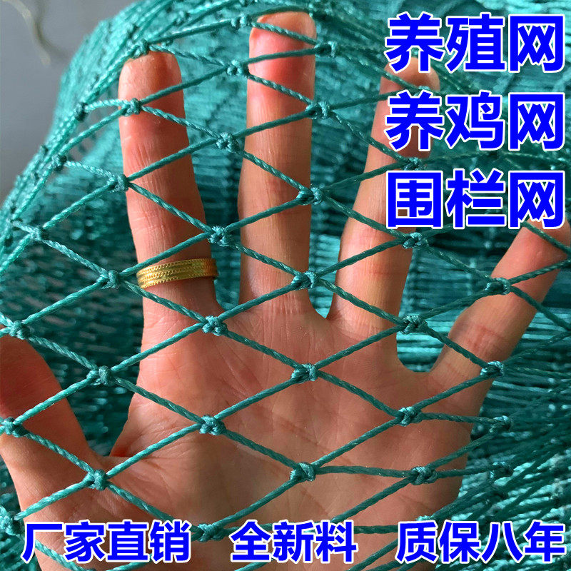 户外养鸡网防护养殖网拦鸡网围栏网护栏网菜园网山鸡网隔离网尼龙