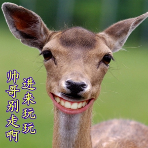 B140XW03 V.0 V.1 N140BGE-L42L32L31LB2LA2LA3 M140NWR1液晶屏幕