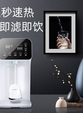 斑马鱼软水反渗透直饮