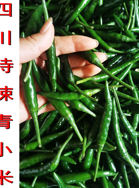 正宗四川青小米椒特辣朝天椒现摘发货新鲜小海椒绿色嫩椒烧椒椒