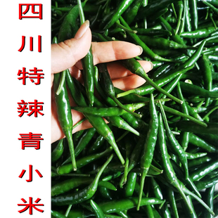 正宗四川青小米椒特辣朝天椒现摘发货新鲜小海椒绿色嫩椒烧椒椒