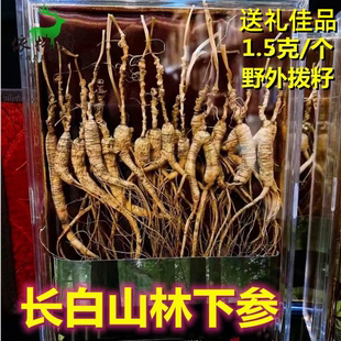 长白山林下参籽货礼盒装东北特产生晒参送礼煲汤泡酒趴货林下人参