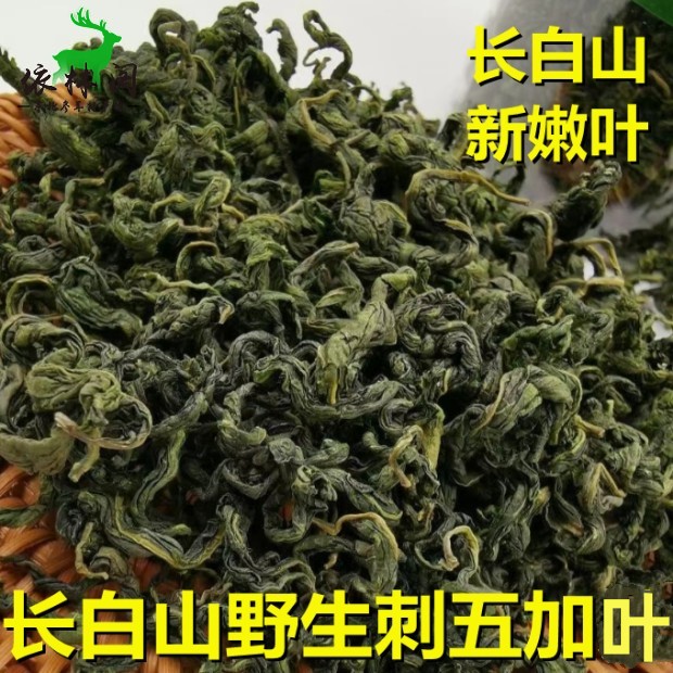 包邮刺五加叶茶东北长白山刺五加叶茶100克吉林泡水补品刺五加茶