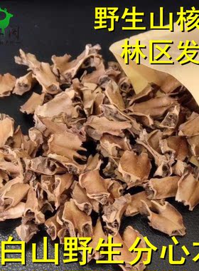 长白山林区野生分心木老树新货