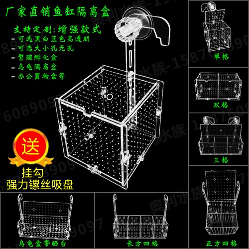 隔离繁殖孵化透明保护产房鱼缸