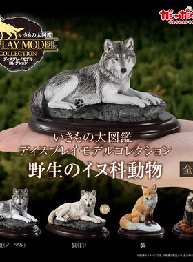 生物大图鉴野生犬科动物
