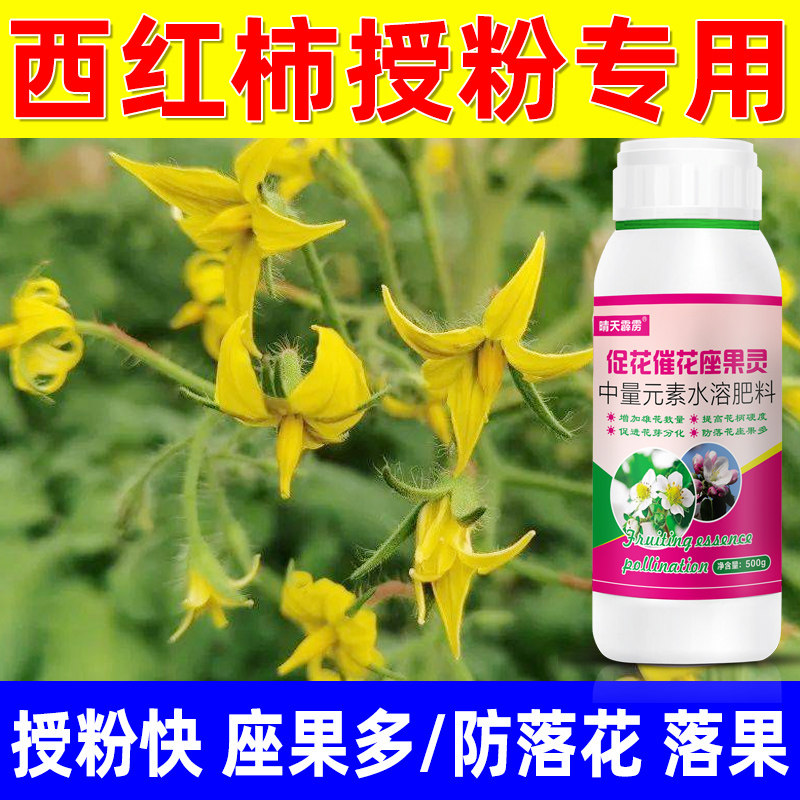 番茄催花促花灵提高坐果率防止落花落果柑橘坚果番茄辣椒八角芒果图片