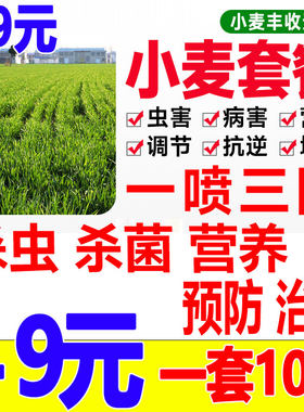 小麦专用催产套餐专用肥料杀虫除菌增肥三体合一小麦一喷三防套餐