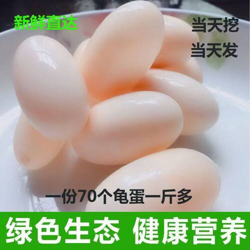乌龟蛋食用宝宝辅食美容泡酒用材