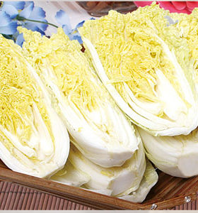 早熟韩国四季播种娃娃菜种子