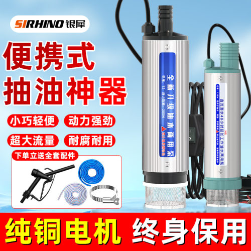 电动抽油泵12V24伏小型