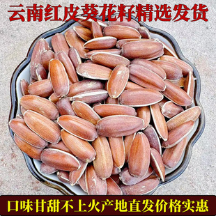 2025新货种籽云南生红皮瓜子原味高原葵花籽零食生吃甜糯包邮