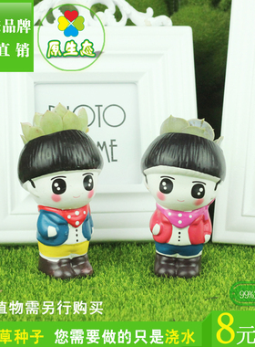 摆件桌面原生态卡通桌面绿植陶瓷