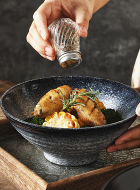 日式拉面碗家用吃面碗高级感泡面碗大汤碗斗笠碗陶瓷装菜碗盘餐具