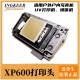 户外写真机六色喷头 户内 喷绘机新五代头 XP600打印头 爱普生原装