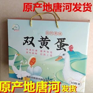 唐河特产唐河双心桐蛋桐莱特真空30枚礼盒2000+克熟流油鸭蛋包邮