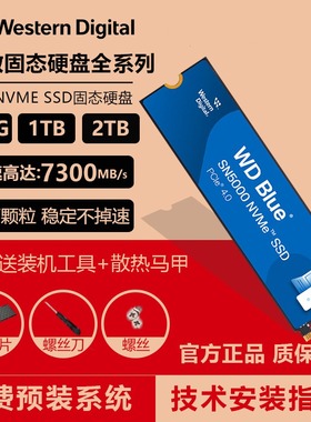 WD西数SN5000/7100/580/770/850X 1T2TB固态硬盘M.2 NVME PCIE4.0