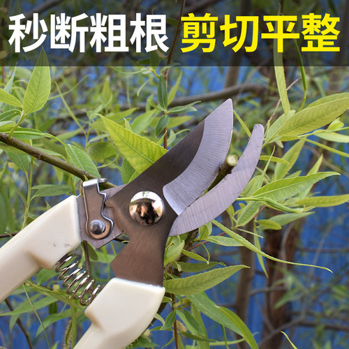 园艺剪刀修剪实用省力