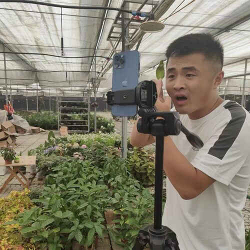 老花医各种植物虫药瓶装袋装