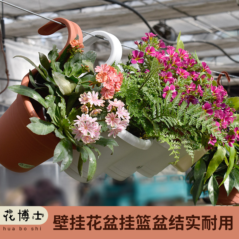 树脂简约美观结实耐用图片