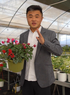 直播链接卉玩花卉高效养护工具