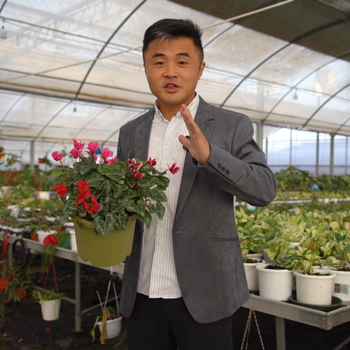 直播链接卉玩花卉高效养护工具