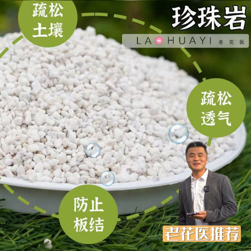 老花医珍珠岩透气防板结防烂根