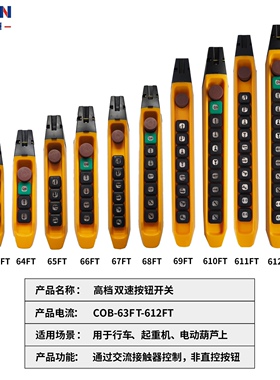 起重机双速按钮手柄线 COB-63FT 64FT 65FT 66FT 67FT 68FT 69FT