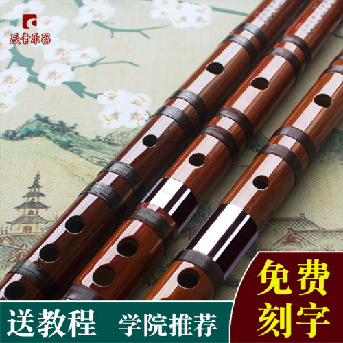竹笛初学考级乐器横笛初学笛子