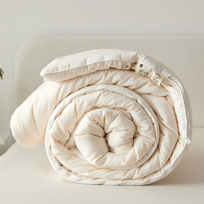 李官奇A类原棉59%大豆纤维被加厚冬被二合一子母被单双人春秋被子