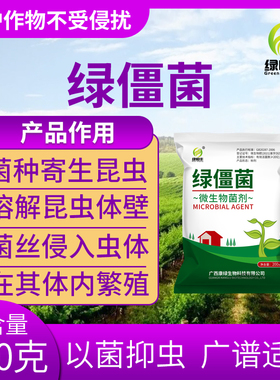 微生物菌剂绿僵菌寄生侵染虫体相互感染金龟子蛴螬地老虎蝼蛄