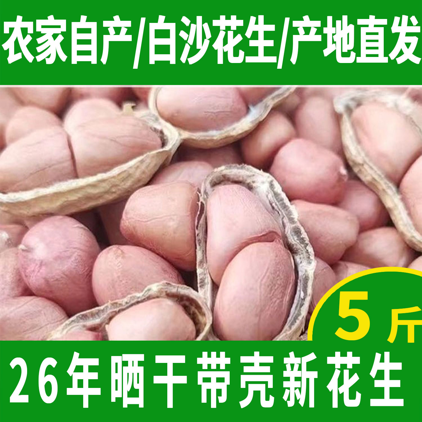 辽宁省锦州市白沙花生沙土种植